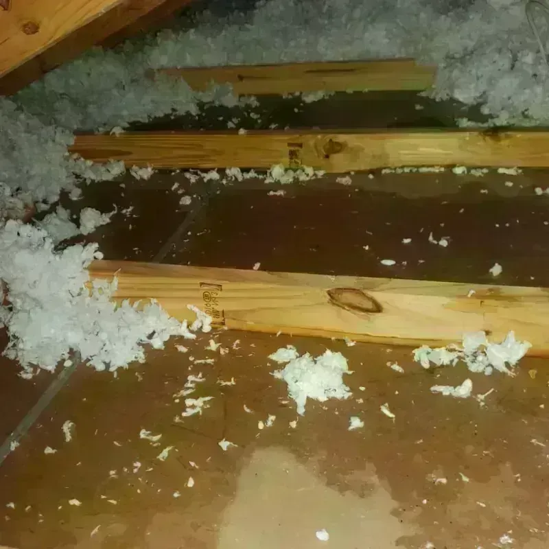 Attic Water Damage in Clarksville, VA