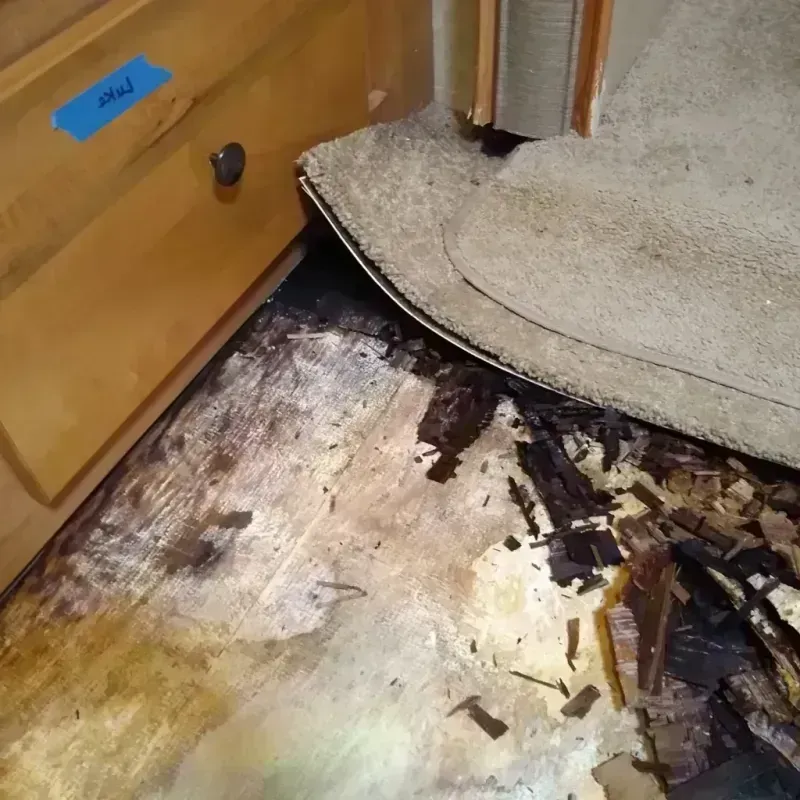 Wood Floor Water Damage in Clarksville, VA